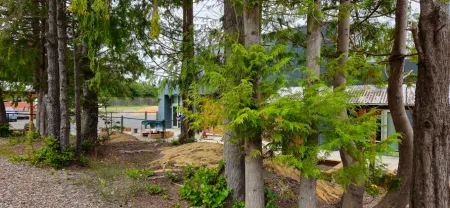 Forested grounds surrounding the outdoor play area at Comfort First Early Learning